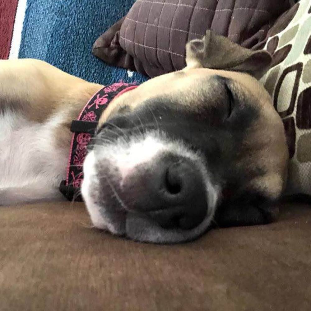 Meet your Posher, Elizabeth